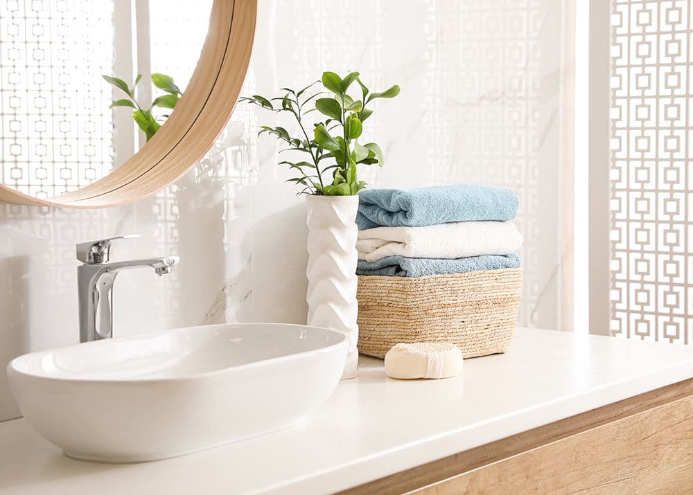 Bathroom Plant