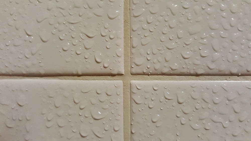 Wet tile and grout