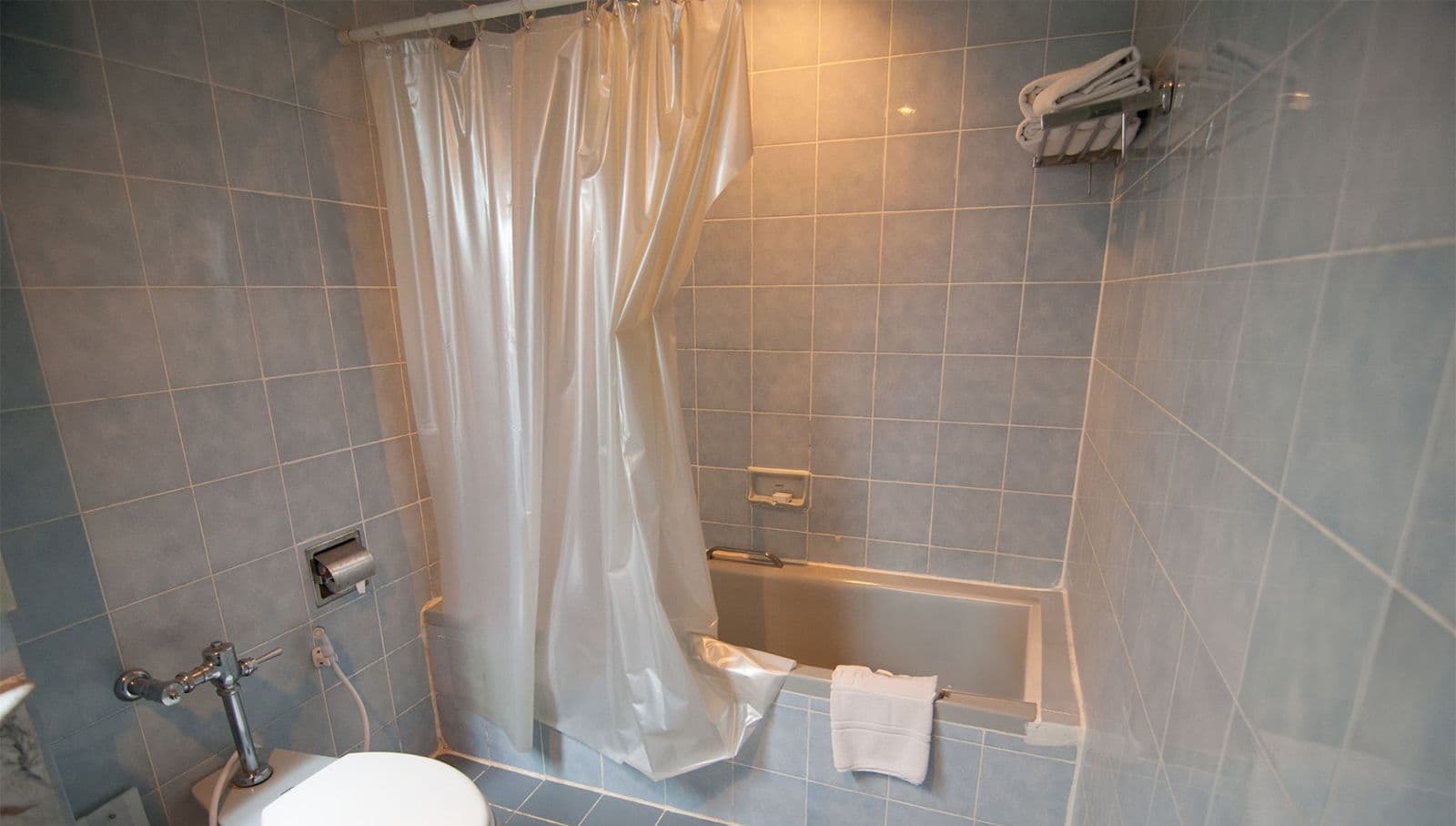 Shower Curtain
